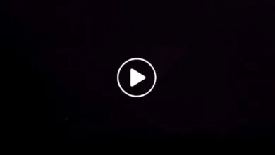 مسلسلات، افلام، الأكشن، المغامرة، والدراما